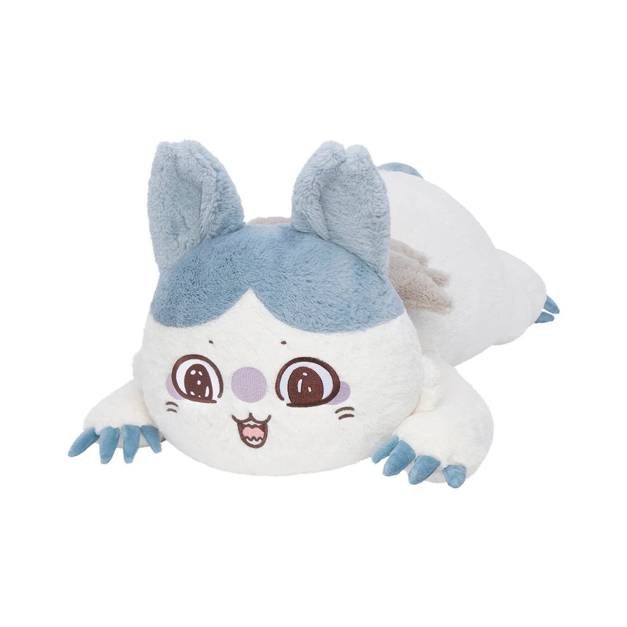 強くなったハチワレ。耳を含む高さと長い胴体を確認できます。